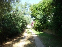 /album/galerie-photos/a2014-p6260052-jpg/